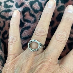 Sterling silver twiggy circle of life ring